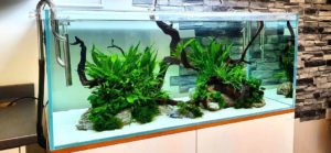 Фильтрация в растительном аквариуме