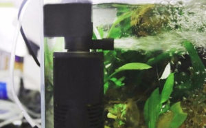 Фильтрация в растительном аквариуме