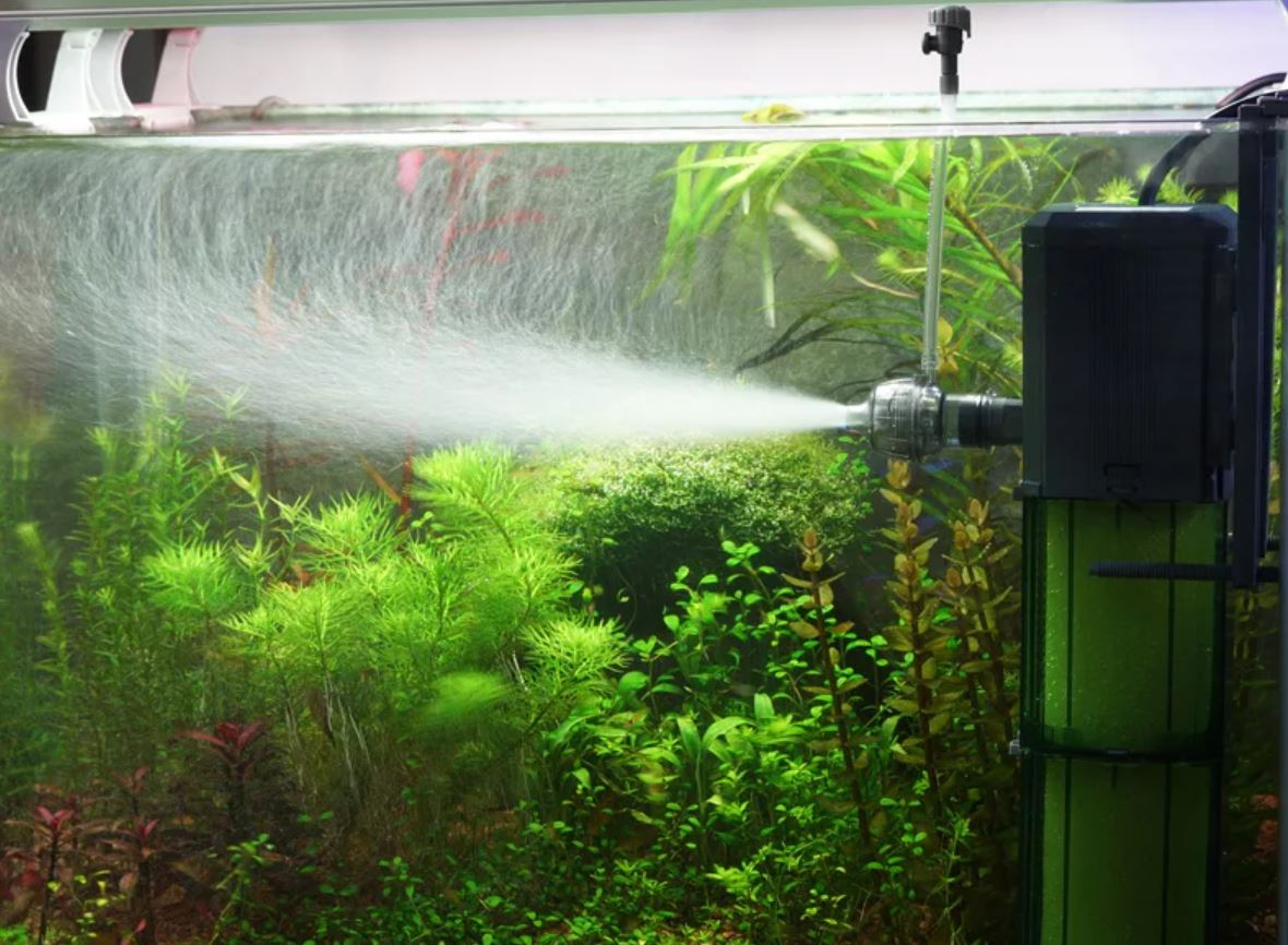 Как понизить воду в аквариуме